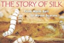 The Story Of Silk From Worm Spit To Woven Scarves Traveling Photographer