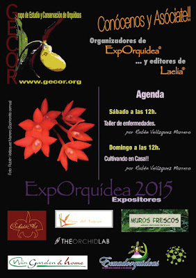 orquideas