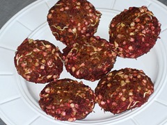 bourgers de sarrasin germé