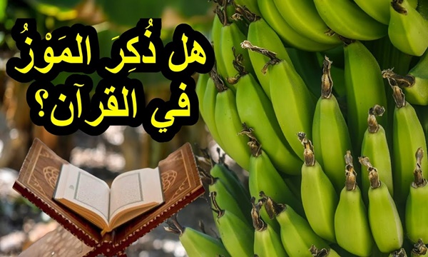 ما هو الإسم الآخر لفاكهة الموز في القرآن؟