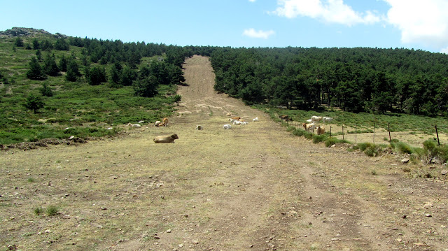 AlfonsoyAmigos - Rutas MTB