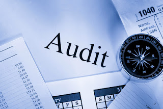 audit  , audit  outils , technique audit , revue analytique 