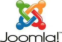 Joomla Developers India