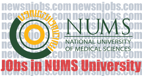 Teaching Jobs 2020 November NUMS University