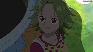 ワンピースアニメ シャボンディ諸島編 393話 ケイミー | ONE PIECE Episode 393