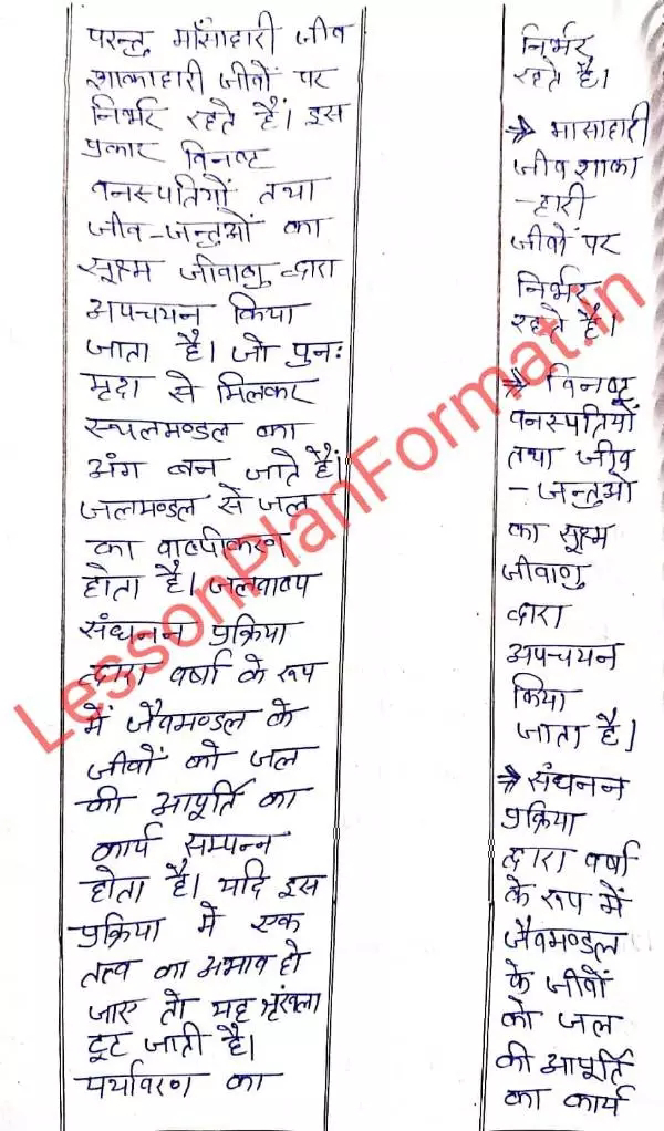 B.ed Geography Lesson Plan in Hindi