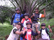 Kelapa sawit