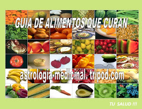 La Nueva Guía Electronica De Alimentos Qué Curan