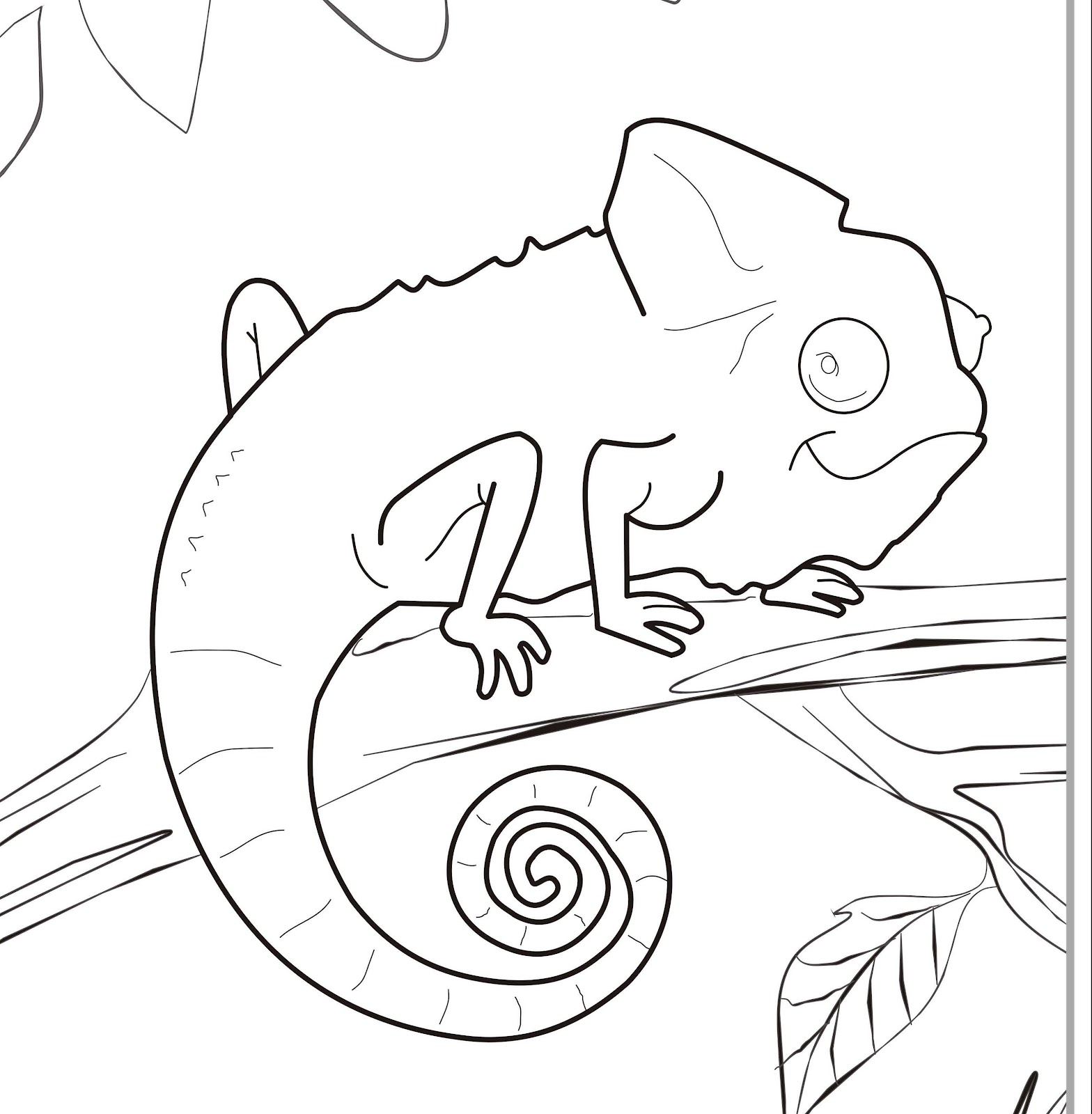 Chameleon Coloring Pages - Kidsuki