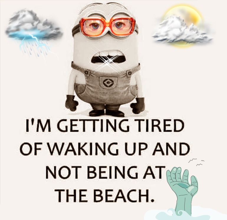 115 Funny Beach Captions and Quotes | Cute Instagram Quotes