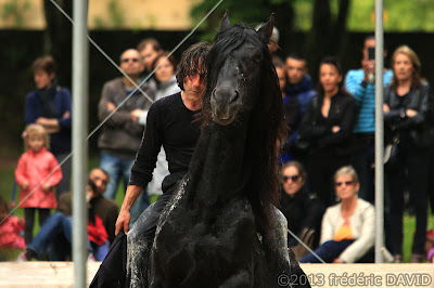 spectacle danse contemporaine cheval Thomas Chaussebourg Ma Mête Noire Chamarande Essonne