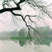 View album