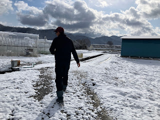 【20240309】まだまだ雪