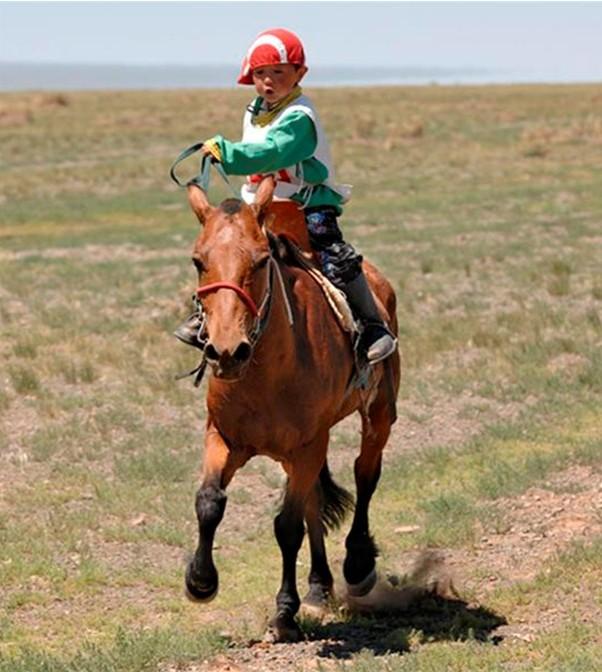 Mongolia Horses and Humans - Nice Photographs...