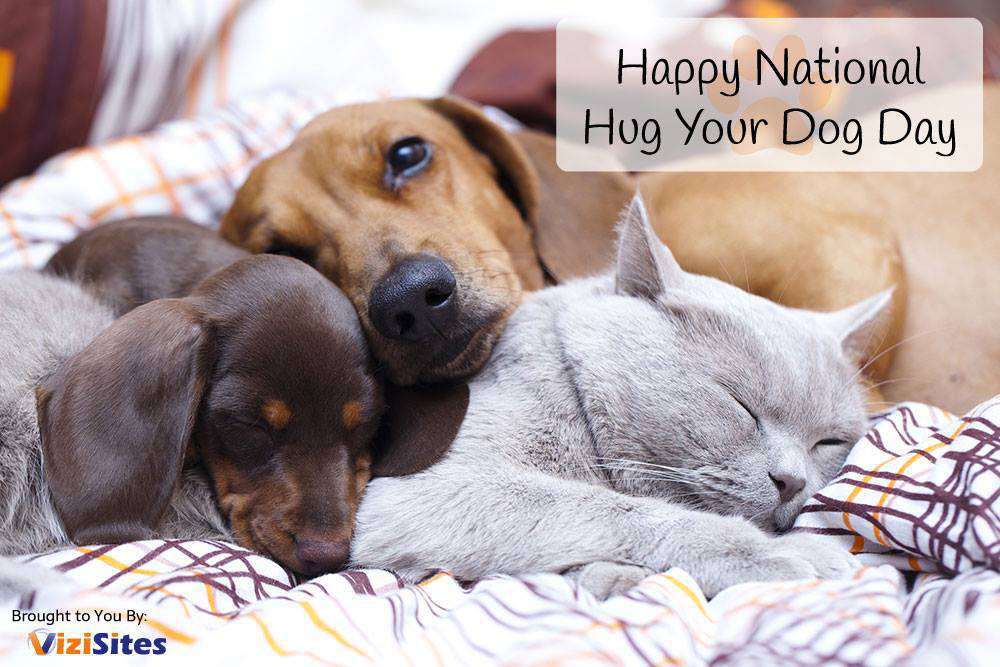 National Hug Your Dog Day Wishes Pics