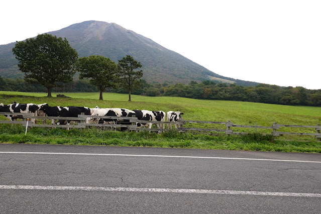 鳥取県西伯郡伯耆町小林　大山放牧場