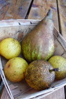 Basket of Asian and Rescue Pears