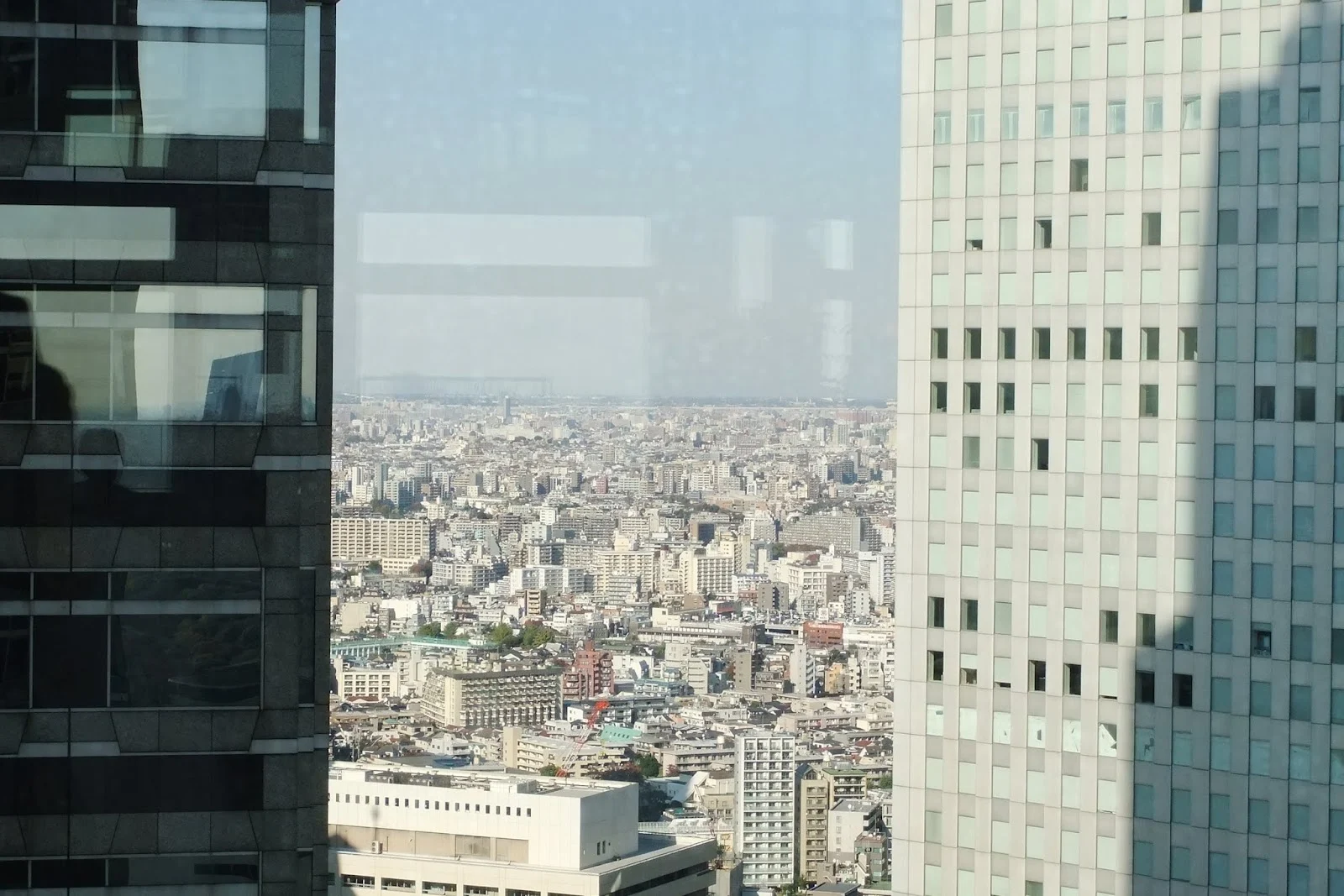 city-view-from-hqoftokyometropolitan-government　都庁からの眺め