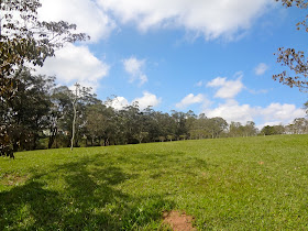 Parque do Carmo em São Paulo