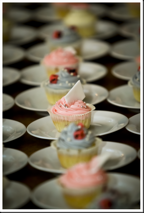 110528_FJ_wedding-337