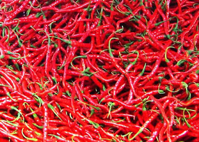 Cabe merah. Gambar dari Internet