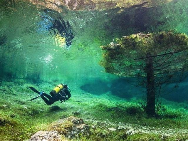 Taman Dasar Danau Gruner See (Austria)