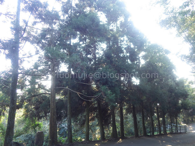 Sun Moon Lake Maolan Mountain hiking sunrise