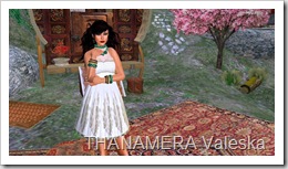 ScreenShot148