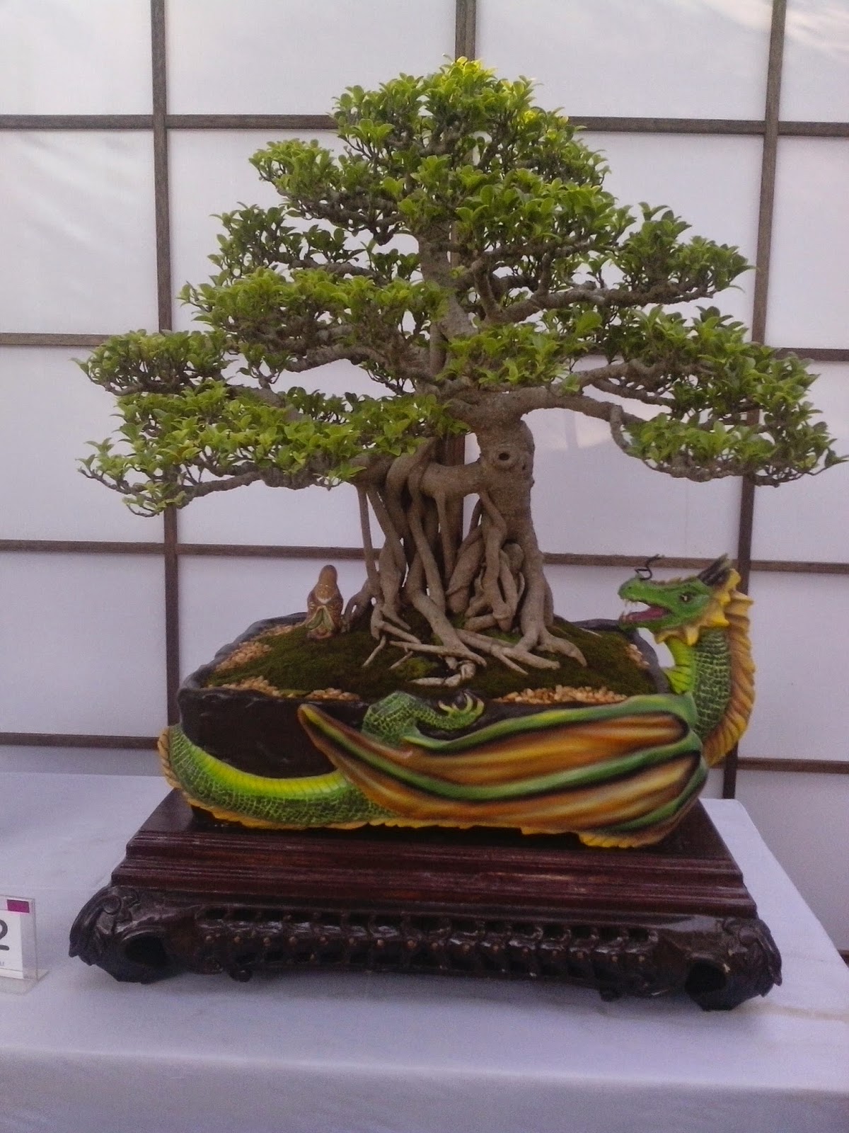 Random Thoughts Bonsai  Penjing  and Suiseki What s that 