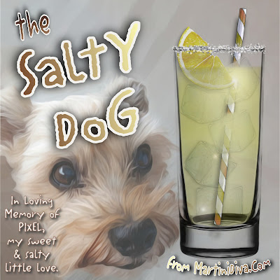 SALTY DOG Grapefruit & Gin or Vodka Cocktail