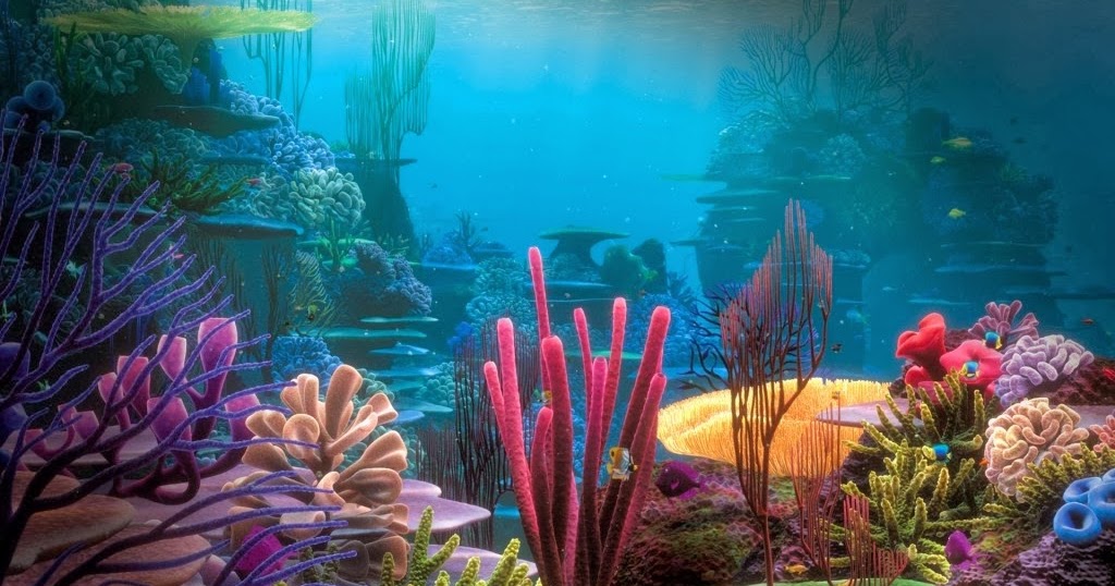 pemandangan alam bawah laut Foto Dunia Alam Semesta INDONESIA