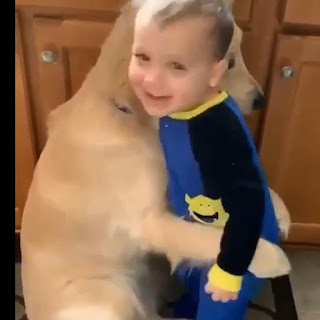 Ternura en estado puro adorable niño y un perro cachorros y tecnologia