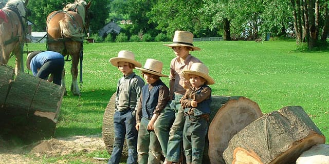 amish cowboy