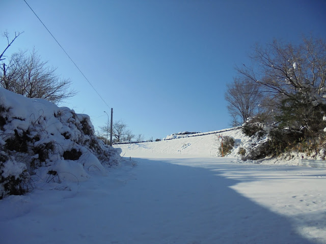 大山ペンション展望駐車場歩行に登ります