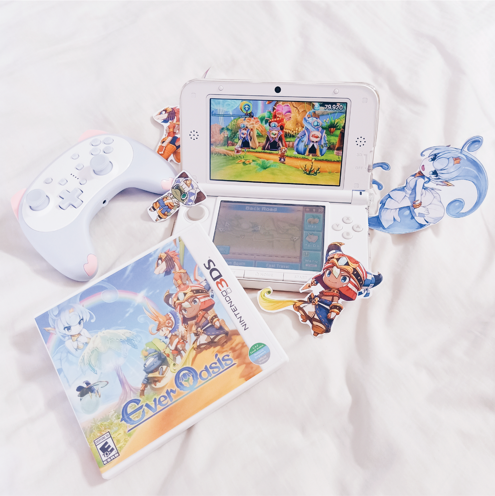 flatlay ever oasis nintendo 3ds game