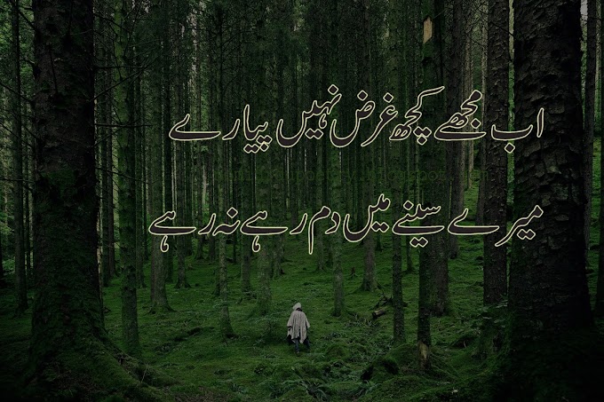 Popular Sad Poetry || Heart Touching 💕 Poetry || Nomi Urdu Poetry💕