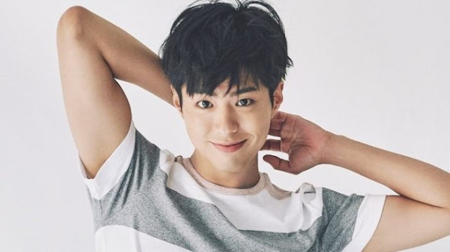 Biodata, Profil, dan Fakta Park Bo Gum