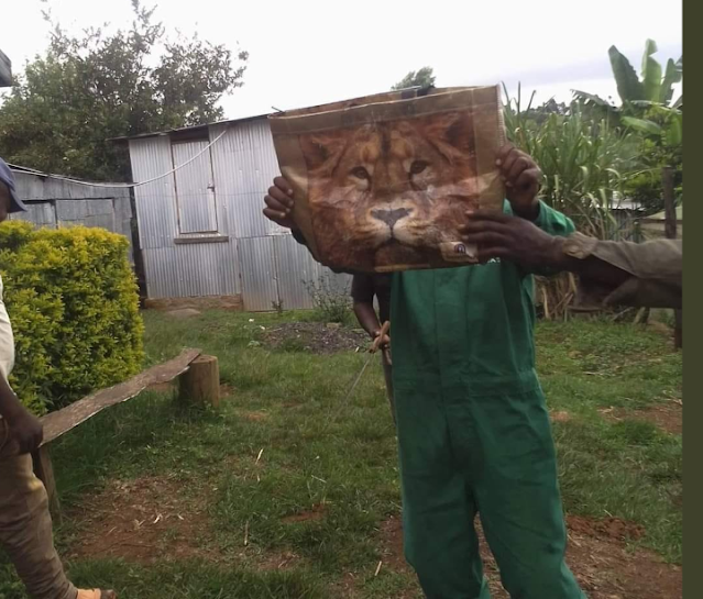 Residents of Kiangua Location in Meru County calls KWS for hiding Lion turns to be Carrefour shopping bag photos