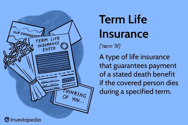 Term life insurance by punjab