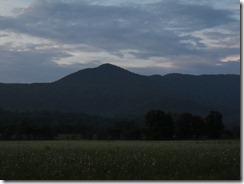 DSCF4588