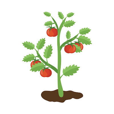 200 + Stock Images of Tomato Cartoon