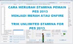 Cara Agar Stamina Pemain Tidak Berkurang Di PES 2013 PC - Master League