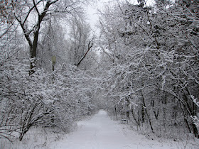 снег в парке