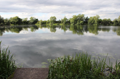 Sugar Mill Ponds, 06/08/20, Goole, East Yorkshire, local nature reserve