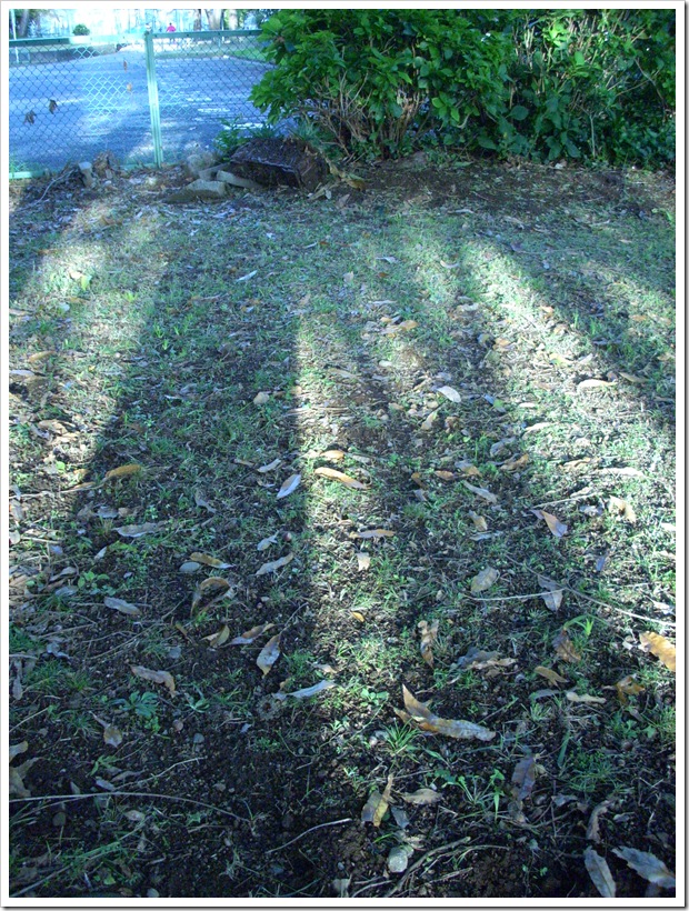 20111112_152306