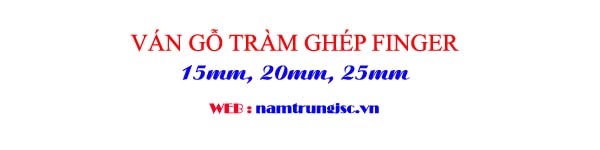 ván gỗ tràm ghép finger dày 15mm, 20mm, 25mm