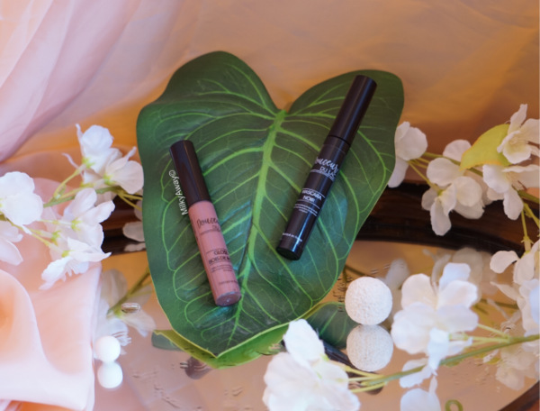 Maquillages biologiques gloss Bois de rose et mascara Noir Profond de Douceur du Lac