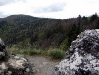 Veliki Javornik s Petrove skale