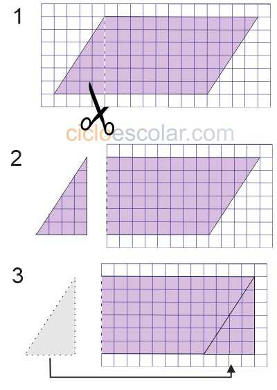 El Romboide Desafio 31 Desafios Matematicos Quinto Grado Contestado Tareas Cicloescolar