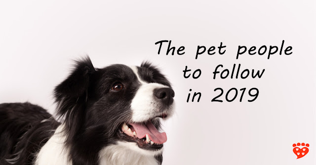 Dogs, cats, science, animal behavior and animal welfare - the people to follow on social media in 2019